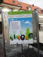 Plakatno mesto 1 Danijela Sterle